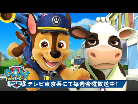 パウ・パトロール | パウ・パトロール：アドベンチャー・ベイの動物レスキュー！🐮🐱 | テレビ東京系にて放送中