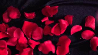 TW - It Comes and It Goes (acoustic) - Official Video