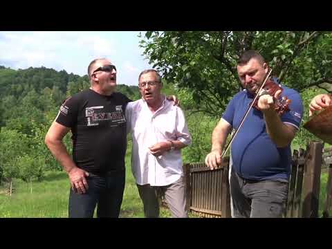 Nemanja i Ćićin - Kada prođem pored šljive ranke (Official live Video)