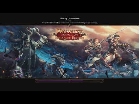 Divinity: Original Sin Enhanced Edition Coop with Arockslife Part 62