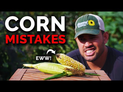 , title : '7 Corn Growing Mistakes to Avoid'