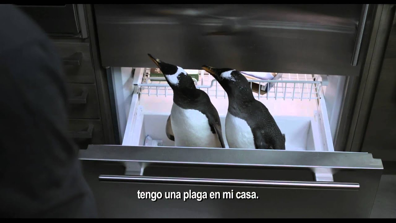Movie Trailer:  Mr. Popper’s Penguins (2011)