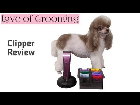 Reviewing and using the Wahl Bravura Dog Clipper on a...