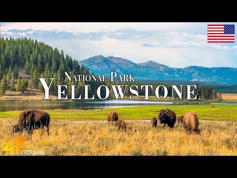 Yellowstone National Park 4K Ultra HD • Stunning Footage, Scenic Relaxation Film with Calming Music.
