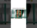 Comedy Scenes Full Time Entrainment
