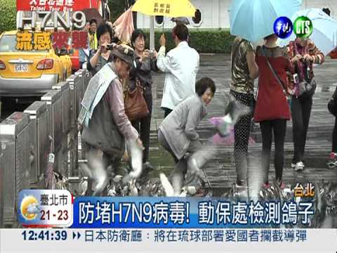 防堵H7N9病毒! 動保處監測禽鳥