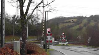 preview picture of video 'Bahnübergang Bahnhofstraße, Niederstetten ++ Halbschrankenanlage als BÜS72 ++ Glocke'