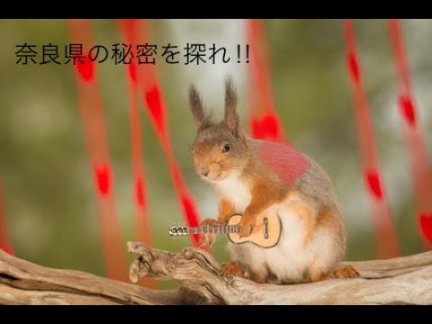 楽器関係のお店がこんなに!? ～奈良県内の秘密を探れ!!～