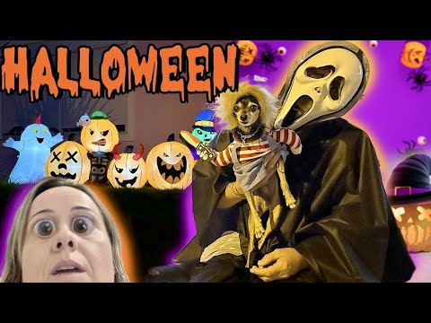 FIZEMOS UMA TRILHA NOTURNA NO DIA DAS BRUXAS!! 🧙 HALLOWEEN 2023