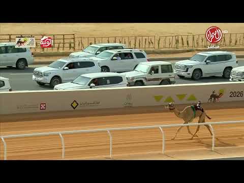 ملخص السباق , مهرجان خادم الحرمين 2026/1/28 ايذاع الجنادرية