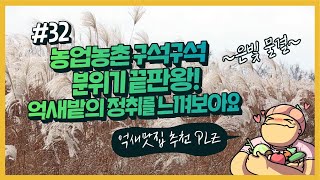 농업농촌 구석구석 ep.32 억새밭 억수로 좋다~~~