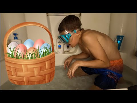 Don't Chose The Wrong Egg