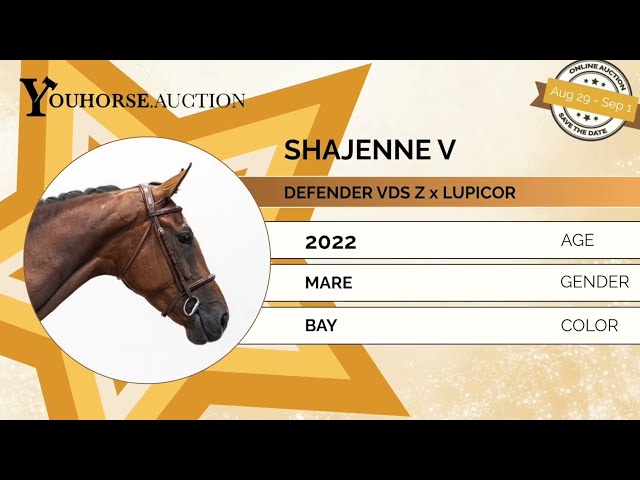 Shajenne trainingsvideo