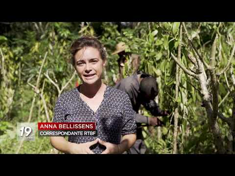 Madagascar : premier producteur mondial de vanille