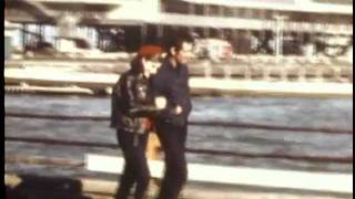 PAUL KELLY - From St Kilda To Kings Cross