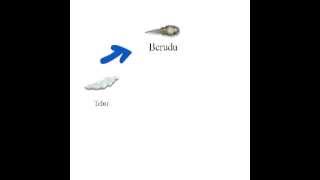 Download lagu SIKLUS HIDUP KATAK mp3