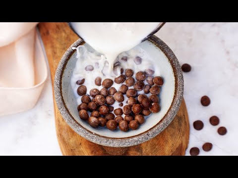 Chocolate Cereal (Homemade Cocoa Puffs)