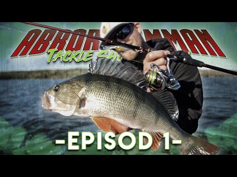 ABBORRFEMMAN 2021 - EPISOD 1