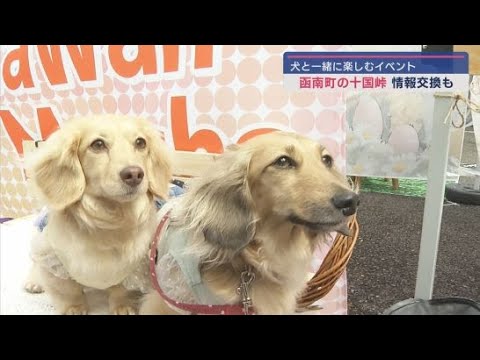 YouTube Video 犬と一緒に楽しい街づくりを「AtaWanマルシェin十国峠」静岡・函南町