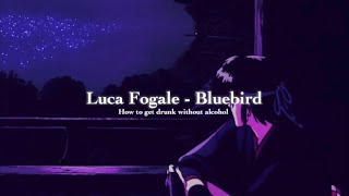 深夜聆聽🪐Luca Fogale - Bluebird -中文歌詞 -