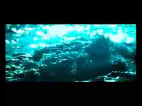 Eddie Amador - "House music" (TDM Video Collection)