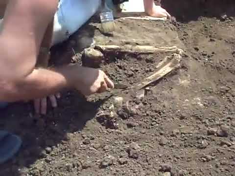 Урочище Гайдамацький кут 2011 р. preview