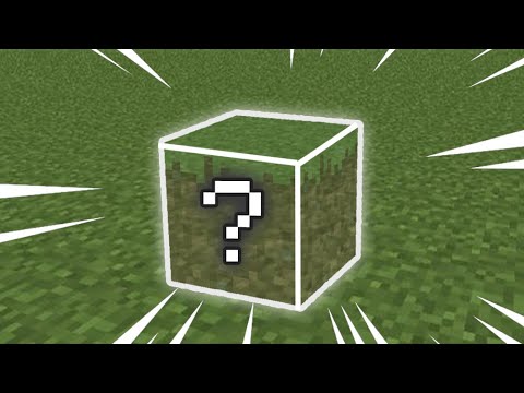 All 4 SECRET Invisible Blocks in Vanilla Minecraft