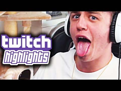 LIVESTREAM HIGHLIGHTS #26 - Papaplatte - Best Of Twitch