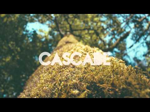 Pavel Dovgal - Guinea