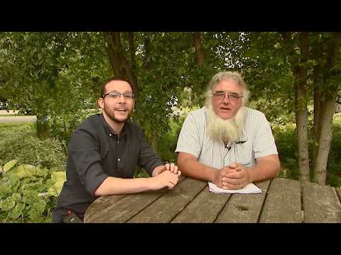 City of Kingston - Tree Bylaw update - CKWS Morning Show