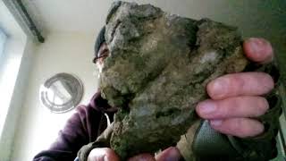 New Mud Fossil Human Head Plus Small Croc &amp; Slate Effigy