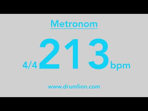 213 bpm - 4/4 | DRUMLION