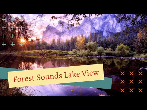 Rainforest Ambience 4K Stunning Landscapes | Peaceful Sound Studio | Beautiful Scenery Jungle Sounds