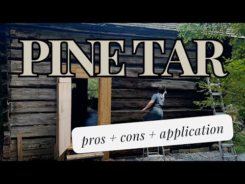 Let's Learn All About Pine Tar! (Sustainable Wood Finish)