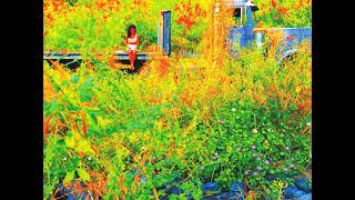 Jhene Aiko - Sativa (Remix) Ft. Jacquees &amp; Rae Sremmurd