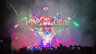 LSDream Wakaan Fest 10/3/2019 Ace of Cups