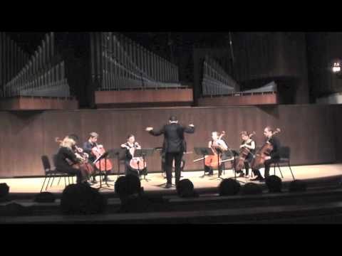 MIST of TEARS - Eugene Astapov  (Cello Octet)