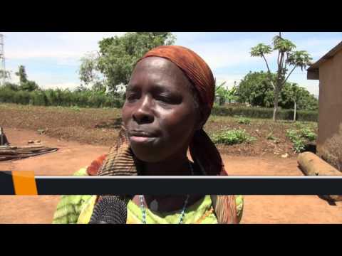 UBUJURA BW'AMATUNGO  mu Murenge wa RUKOMO-NYAGATARE , On Thursday 15 10 2015