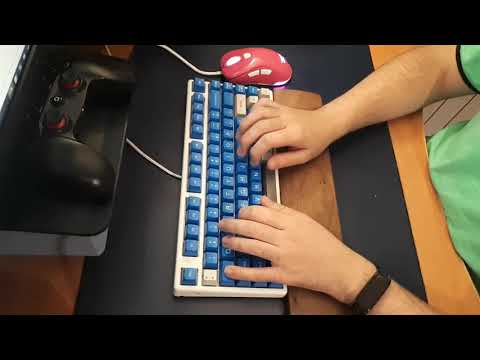 Niz Plum Micro84 Keyboard SA key caps