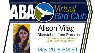 Virtual Bird Club: Alison Világ - Dispatches from Paradise