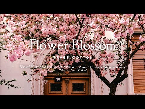 [Piano] Piano songs you want to listen to while looking at flowers l GRASS COTTON+