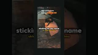 Download lagu pecinta kucing be like mp3 Download lagu pecinta kucing be like mp3