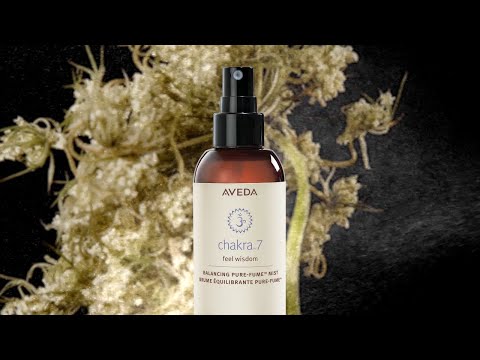 Feel Wisdom Meditation | Chakra 7 | Aveda