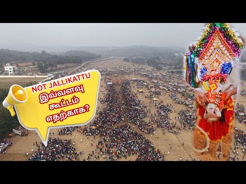 Athukattu Festival Near Hosur: A Rare Manjuvirattu Tradition Rooted in Farming Culture