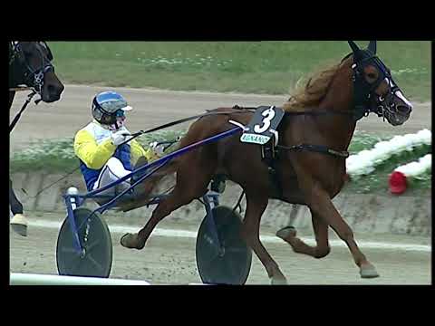 Napoli Trotto 31/10/2021 - 1ª corsa