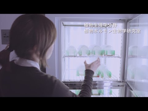農学部　生命科学科 分子生物機能学コース　研究室紹介動画（ラーマン・アビドゥール教授研究室）専門分野： 植物分子・生理科学、細胞生物学