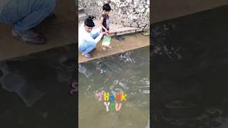 Why We Need to Save Our River Fish Populations