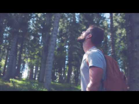 The Watchmaker Theory: An Argument for the Creation of the Universe | Believe in God as the Creator