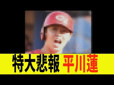 特大悲報、平川蓮