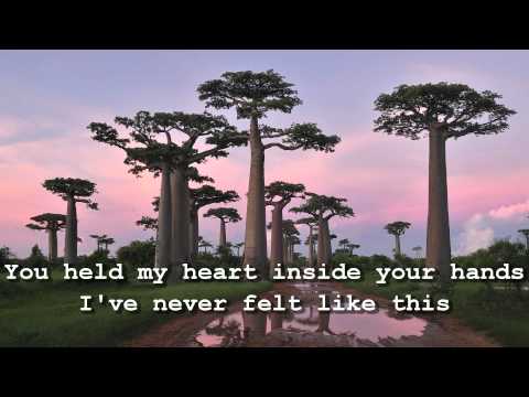 If I Could - 12-Stones